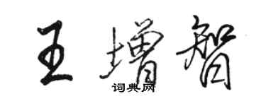 駱恆光王增智行書個性簽名怎么寫