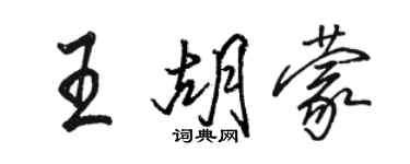 駱恆光王胡蒙行書個性簽名怎么寫