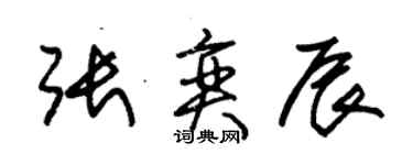 朱錫榮張奕辰草書個性簽名怎么寫