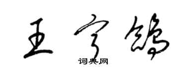 梁錦英王寧鴿草書個性簽名怎么寫