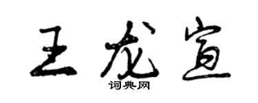 曾慶福王龍宣行書個性簽名怎么寫