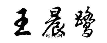 胡問遂王晨鷺行書個性簽名怎么寫