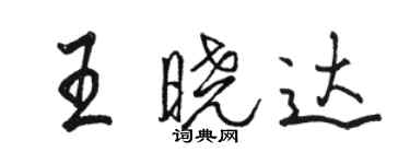 駱恆光王曉達行書個性簽名怎么寫