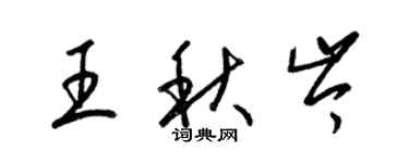 梁錦英王秋岑草書個性簽名怎么寫