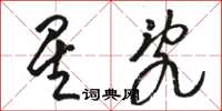 駱恆光星亂草書怎么寫