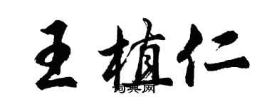 胡問遂王植仁行書個性簽名怎么寫