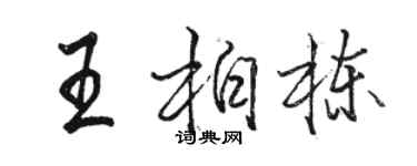 駱恆光王柏棟行書個性簽名怎么寫