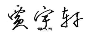 駱恆光賈宇軒草書個性簽名怎么寫