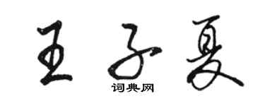 駱恆光王子夏行書個性簽名怎么寫