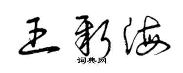 曾慶福王新海草書個性簽名怎么寫