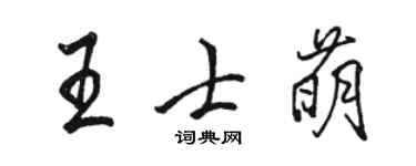 駱恆光王士萌行書個性簽名怎么寫