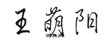 駱恆光王萌陽行書個性簽名怎么寫