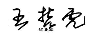 朱錫榮王哲虎草書個性簽名怎么寫