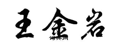 胡問遂王金岩行書個性簽名怎么寫