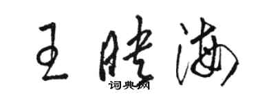 駱恆光王映海草書個性簽名怎么寫