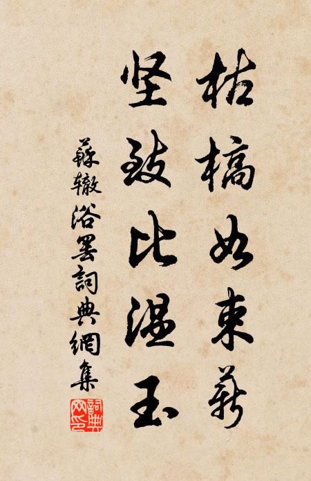 不能刺刺對婢子,已是昂昂真丈夫 詩詞名句