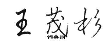 駱恆光王茂杉行書個性簽名怎么寫