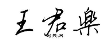 王正良王君樂行書個性簽名怎么寫