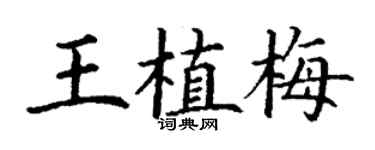 丁謙王植梅楷書個性簽名怎么寫