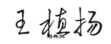 駱恆光王植揚草書個性簽名怎么寫