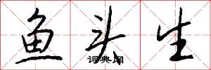 魚頭生怎么寫好看