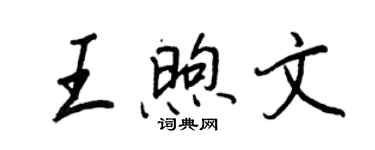 王正良王煦文行書個性簽名怎么寫