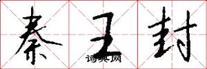 秦王封怎么寫好看