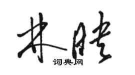 駱恆光林映草書個性簽名怎么寫