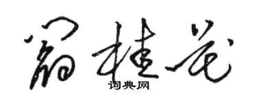 駱恆光閻桂花草書個性簽名怎么寫