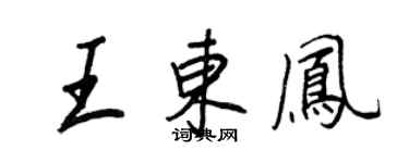 王正良王東鳳行書個性簽名怎么寫