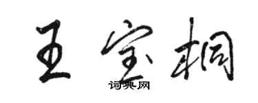 駱恆光王寶桐行書個性簽名怎么寫