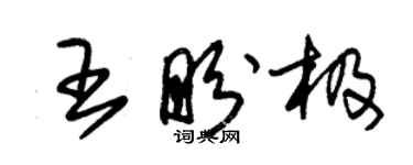 朱錫榮王盼極草書個性簽名怎么寫