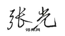 駱恆光張光行書個性簽名怎么寫