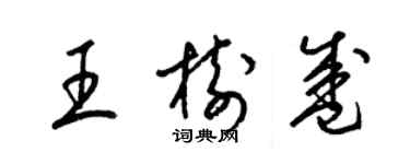 梁錦英王樹盛草書個性簽名怎么寫