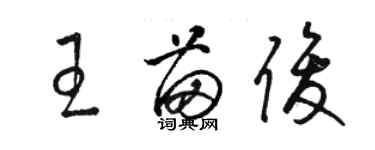 駱恆光王苗俊草書個性簽名怎么寫