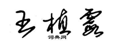 朱錫榮王植霞草書個性簽名怎么寫