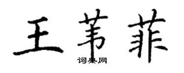 丁謙王葦菲楷書個性簽名怎么寫