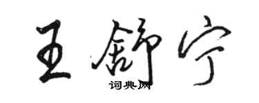 駱恆光王舒寧行書個性簽名怎么寫
