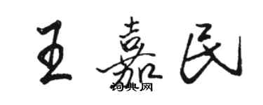 駱恆光王嘉民行書個性簽名怎么寫