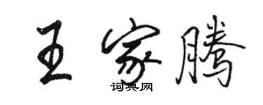 駱恆光王家騰行書個性簽名怎么寫