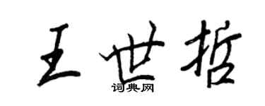 王正良王世哲行書個性簽名怎么寫