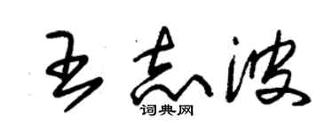 朱錫榮王志波草書個性簽名怎么寫