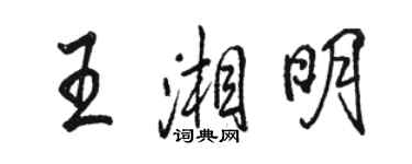 駱恆光王湘明行書個性簽名怎么寫