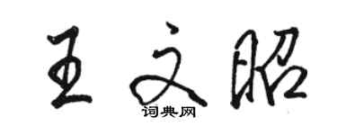 駱恆光王文昭行書個性簽名怎么寫