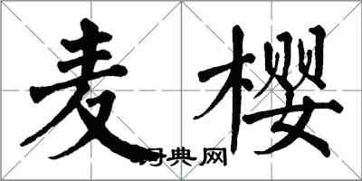 翁闓運麥櫻楷書怎么寫