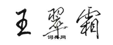 駱恆光王翠霜行書個性簽名怎么寫