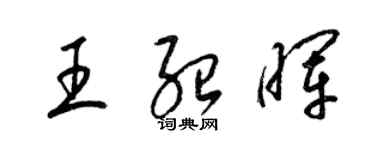 梁錦英王紹暉草書個性簽名怎么寫