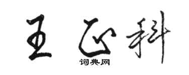 駱恆光王正科行書個性簽名怎么寫