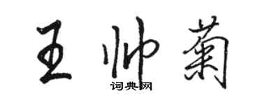 駱恆光王帥菊行書個性簽名怎么寫