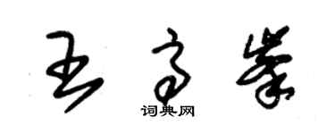 朱錫榮王高峰草書個性簽名怎么寫